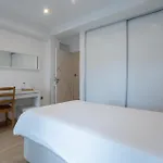 Edificio Luisa Premium